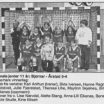 1996 julecup j11 år 2